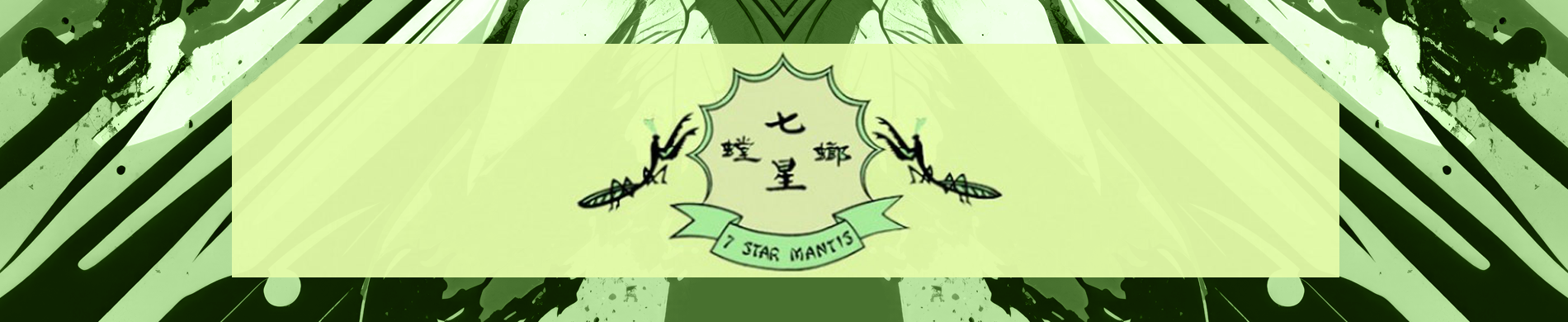 Northern Shaolin 7 Star Praying Mantis Association